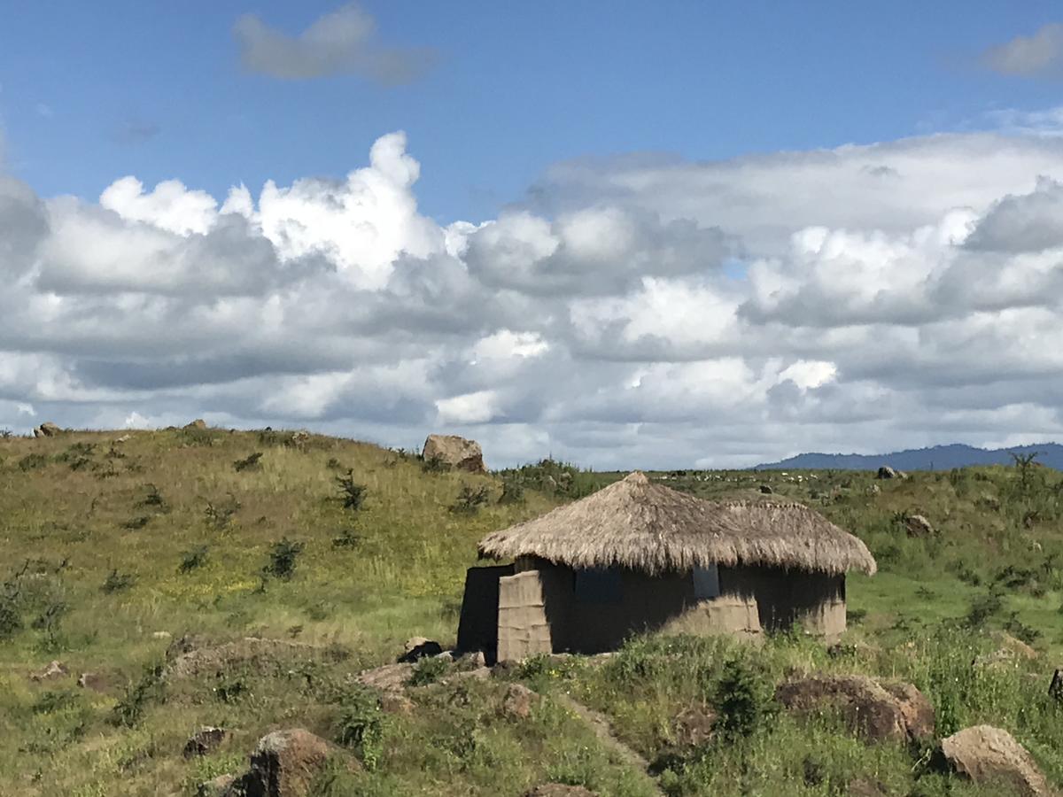 Osiligilai Maasai Lodge Sanya Juu Exteriör bild